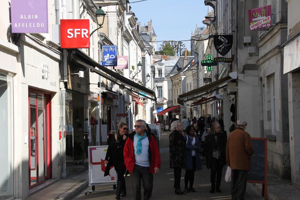 Ferienwohnung Sur Les Toits D'Amboise Exterior foto