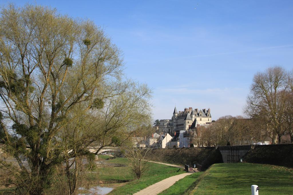 Ferienwohnung Sur Les Toits D'Amboise Exterior foto