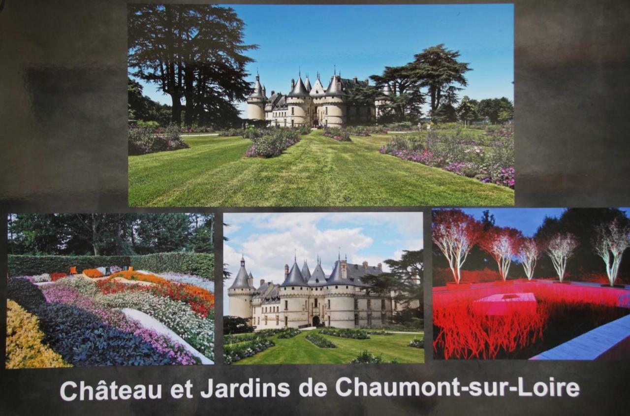 Ferienwohnung Sur Les Toits D'Amboise Exterior foto