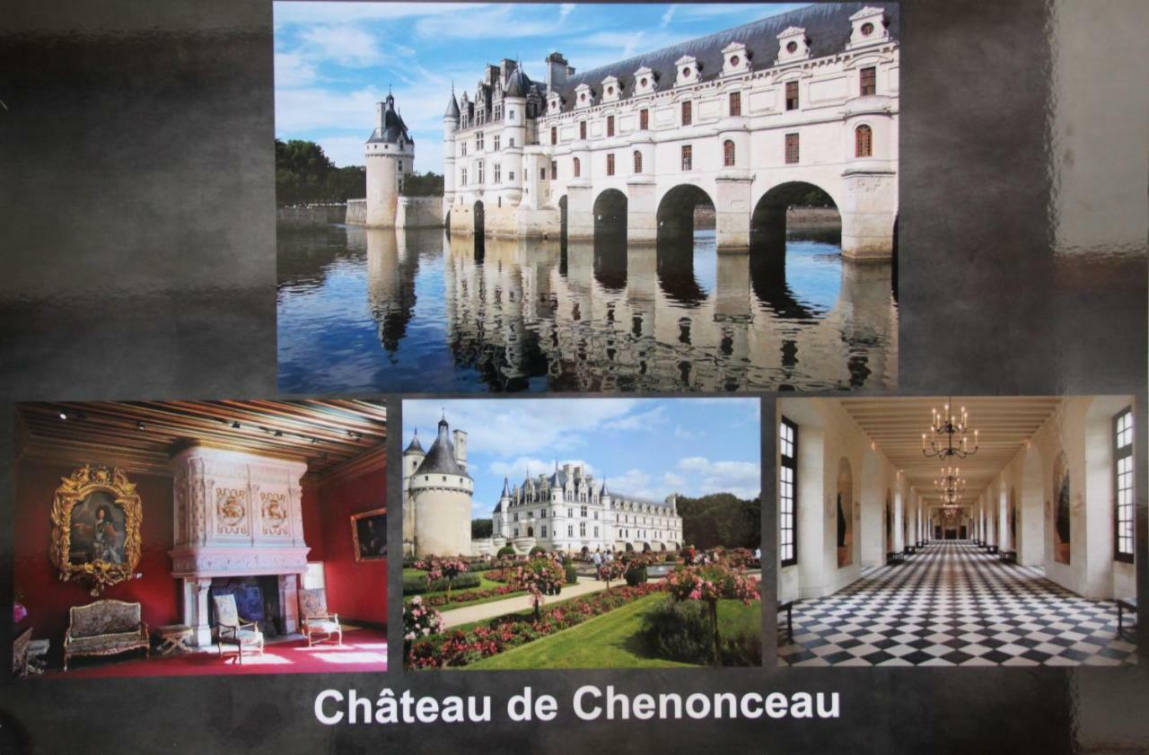 Ferienwohnung Sur Les Toits D'Amboise Exterior foto